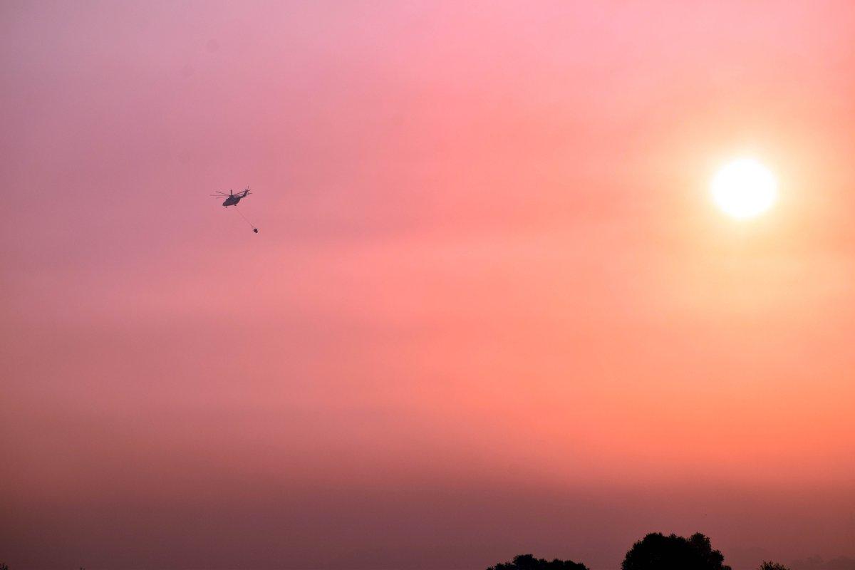 2020 yılında 3 bin 412 yangın çıktı: 20 bin 936 hektar kül oldu