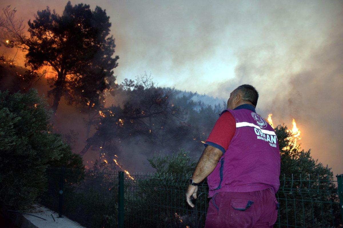 2020 yılında 3 bin 412 yangın çıktı: 20 bin 936 hektar kül oldu