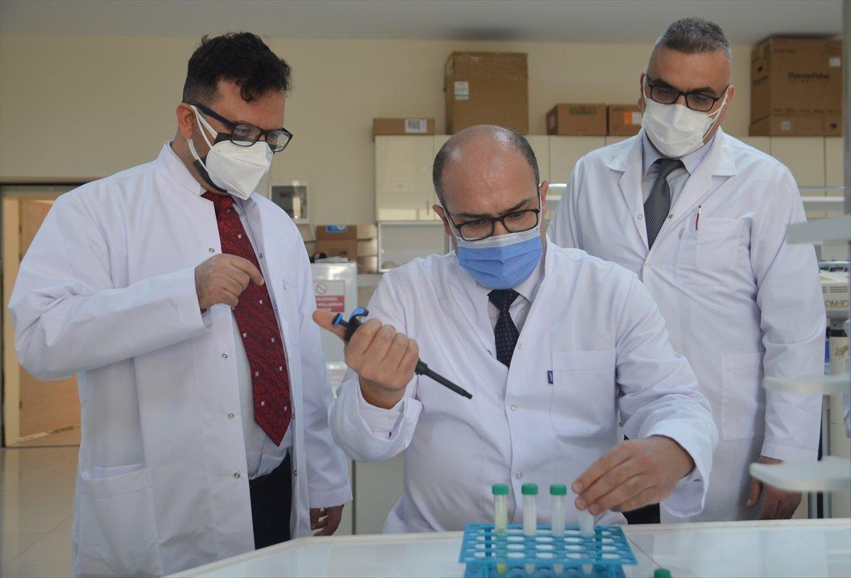 Kudret narının kırık tedavisinde etkileri kanıtlandı