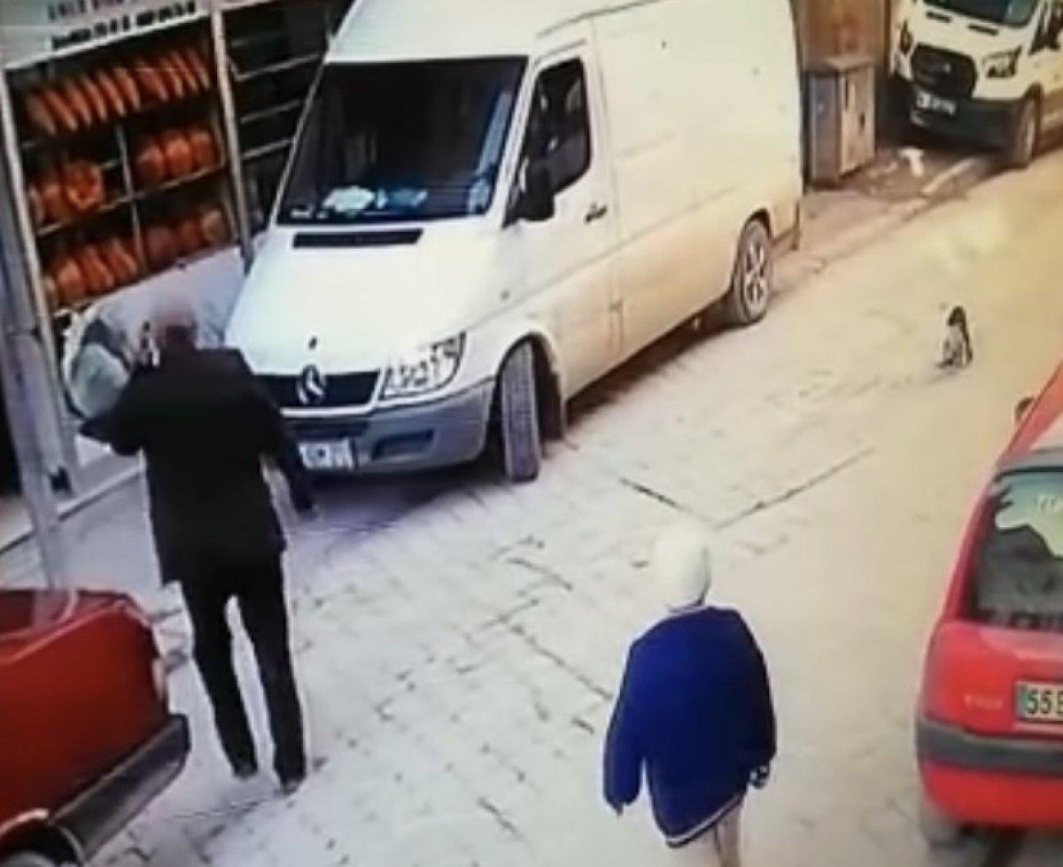 Ordu'da yavru köpeği ezen sürücü kamerada