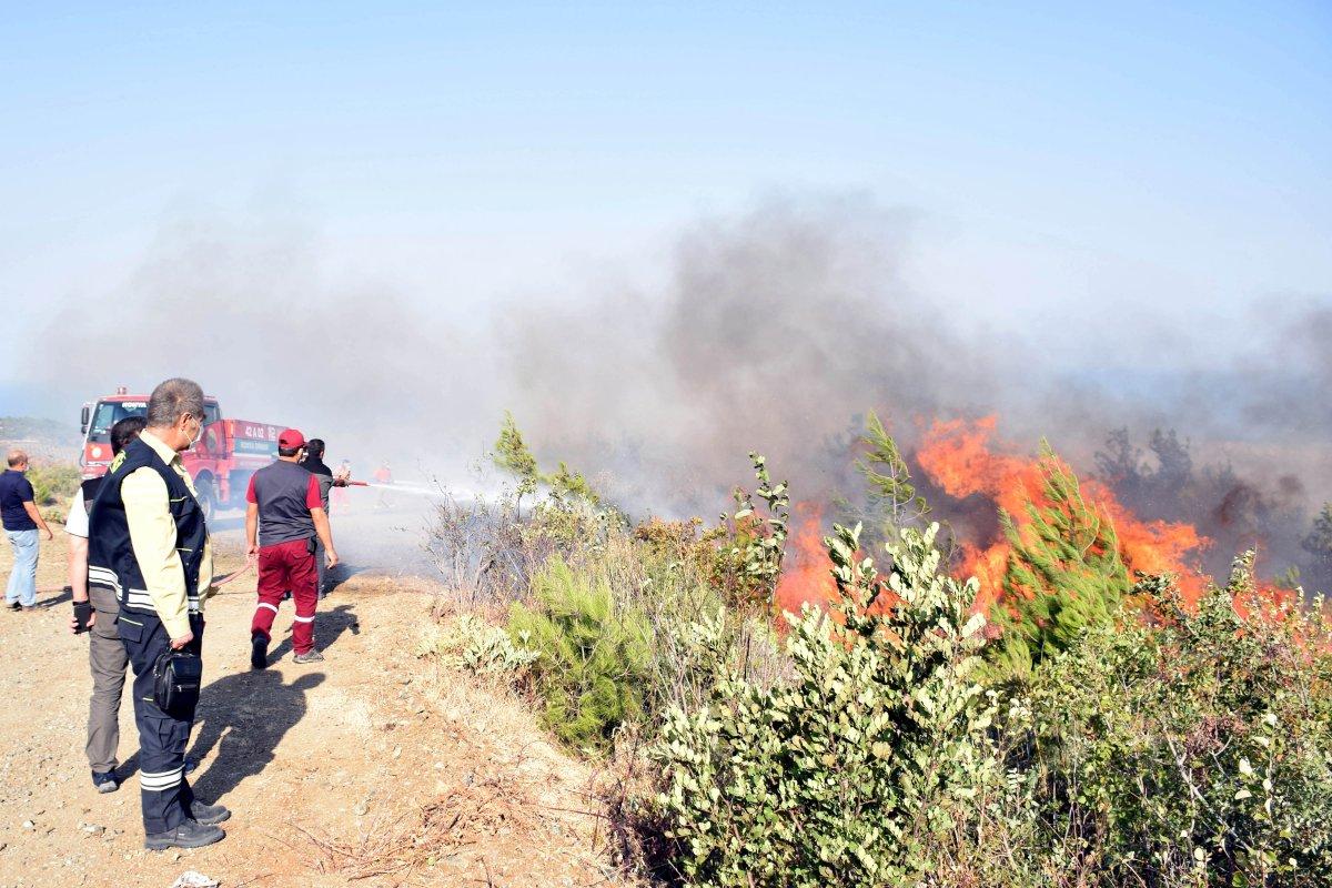 2020 yılında 3 bin 412 yangın çıktı: 20 bin 936 hektar kül oldu