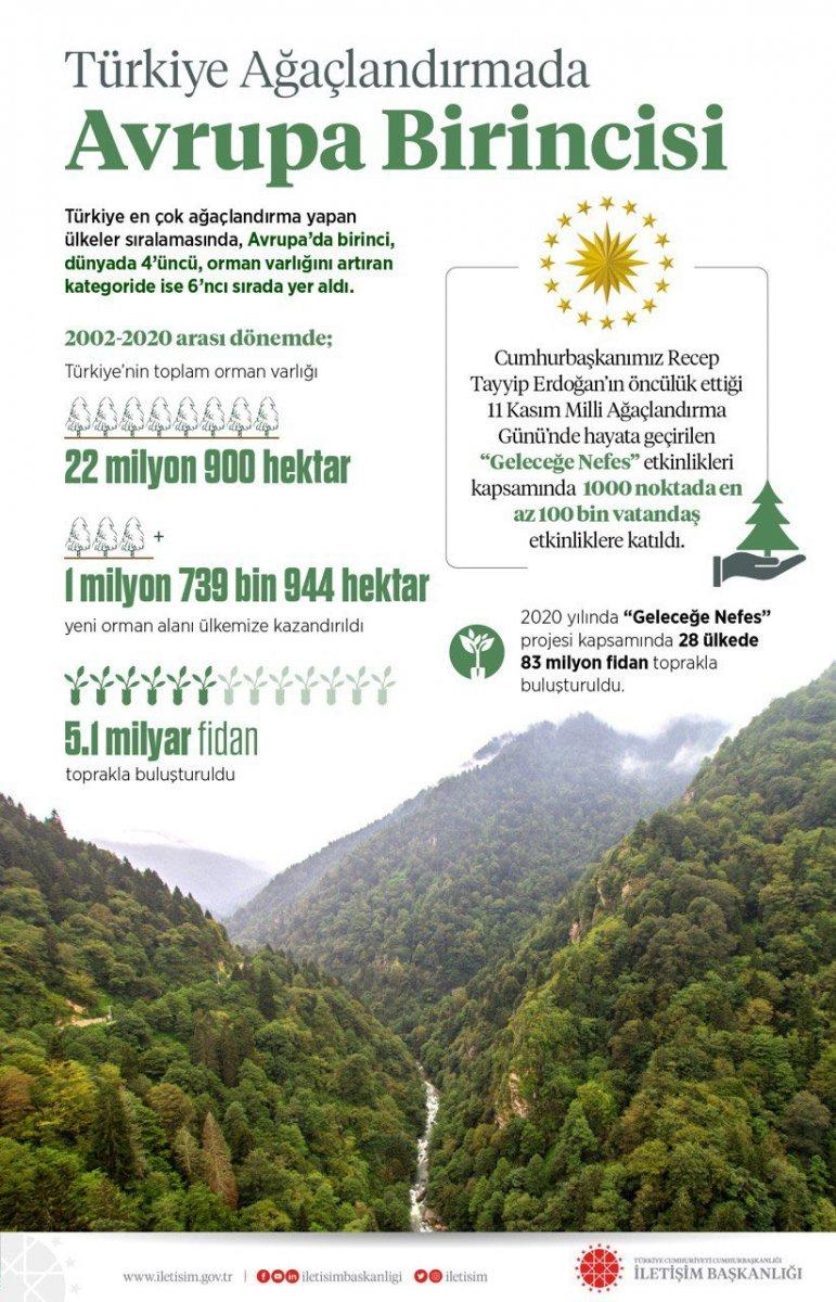 Fahrettin Altun: Mesele ağaçsa, biz birinciyiz