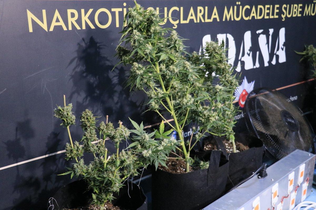 Adana’da evlerinde uyuşturucu yetiştiren baba ve oğlu yakalandı
