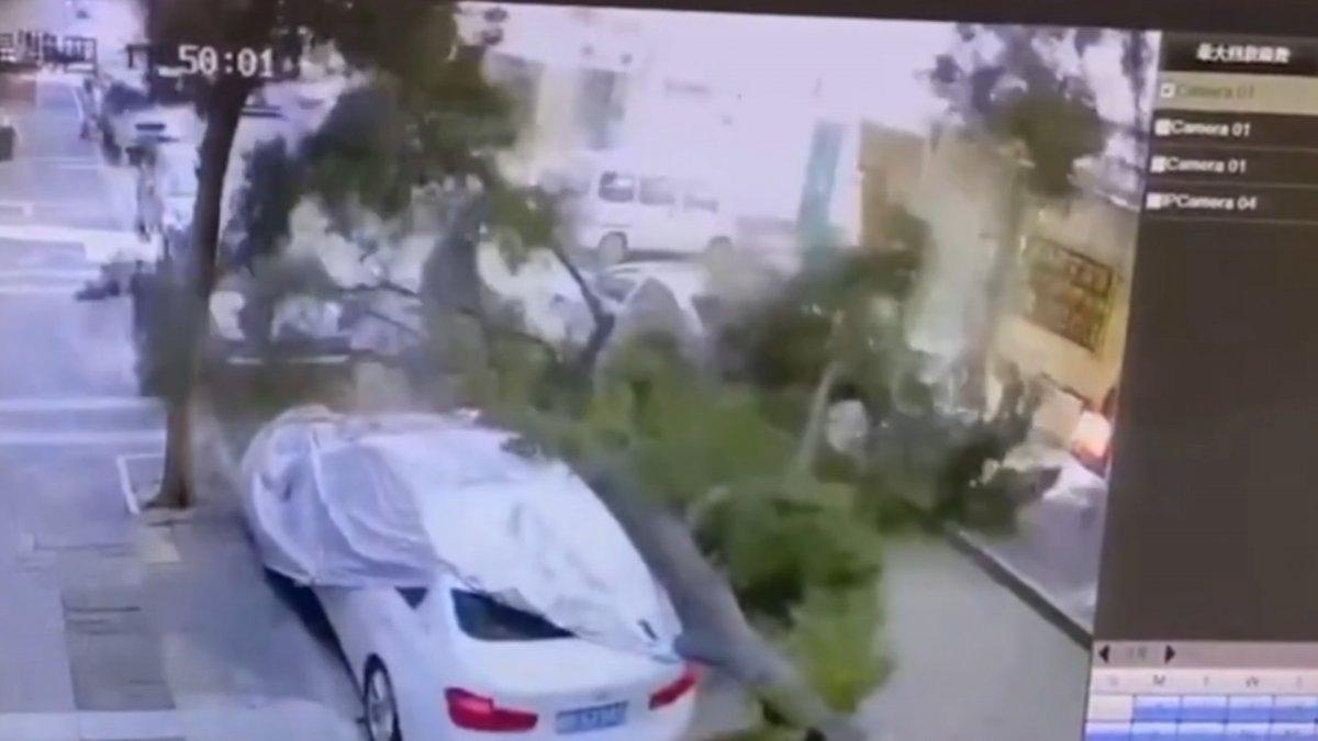 Çin'de ağacın altında kalmaktan koşarak kurtulan kadın