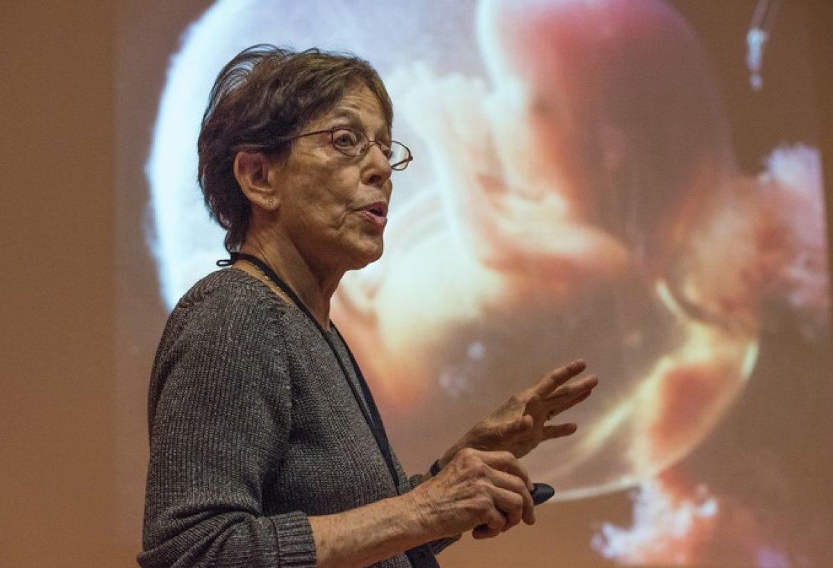 2045 yılından sonra insanlık üreyemeyebilir