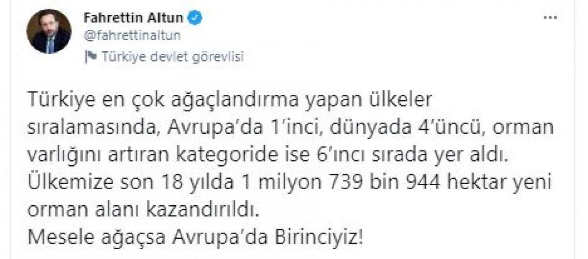 Fahrettin Altun: Mesele ağaçsa, biz birinciyiz
