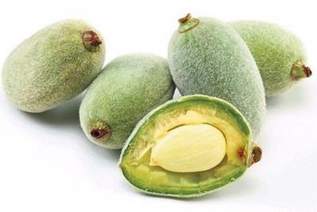 Çağla nedir, faydaları nelerdir? Çağla hangi hastalıklara iyi gelir?