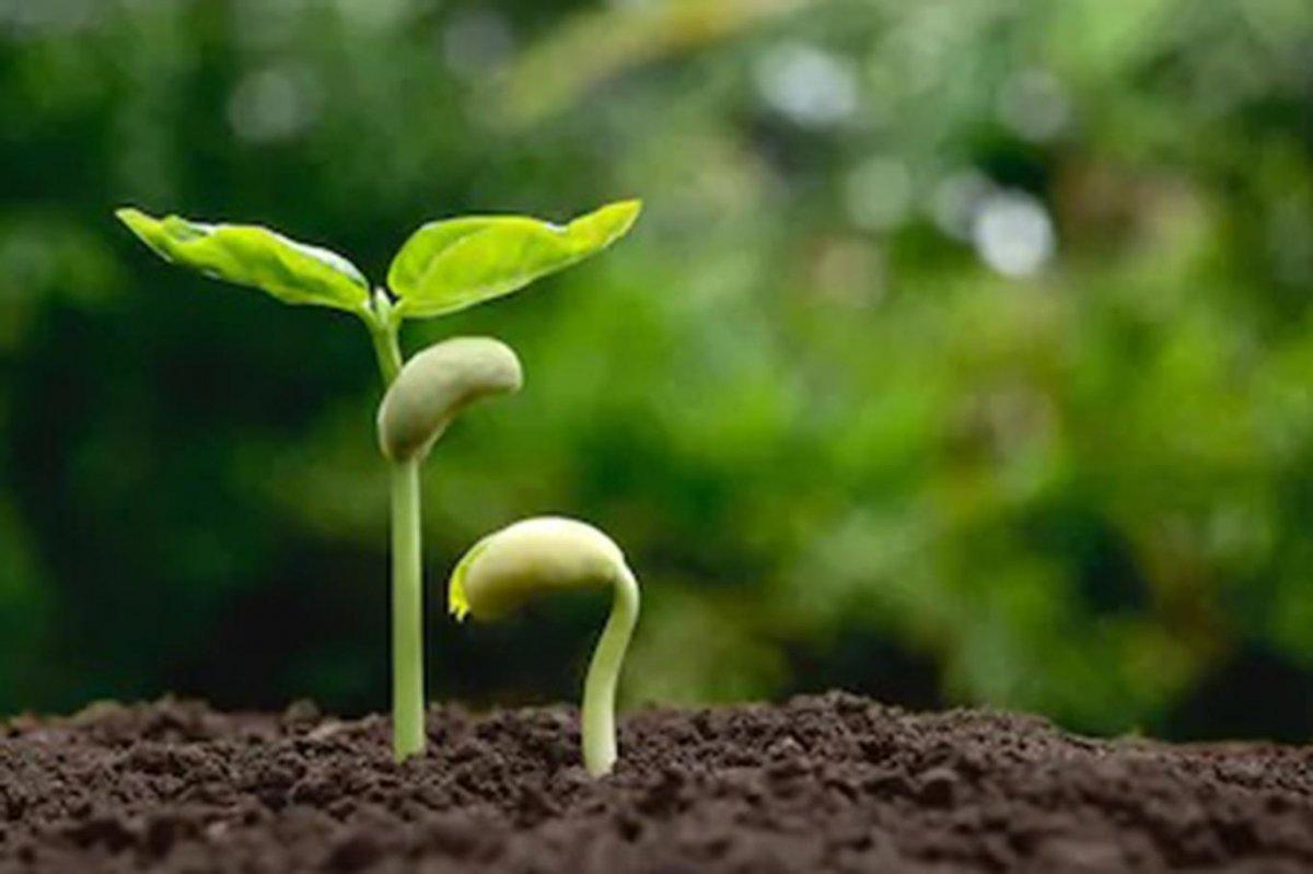 Üçüncü Cemre düştü mü 2021? 3. Cemre ne zaman, nereye düşecek?