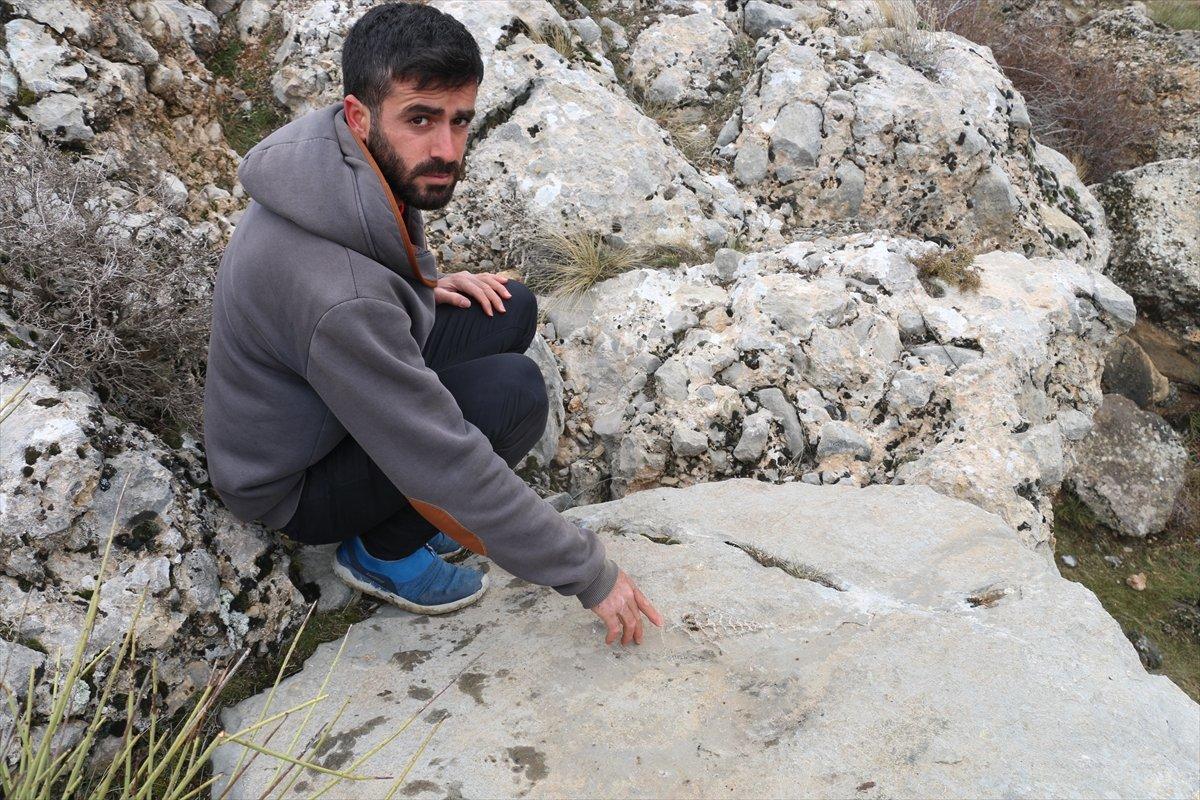 Adıyaman’da 70 milyon yıllık Gastropod bulundu