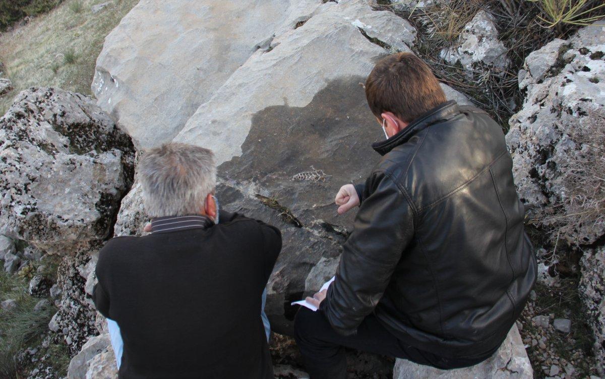 Adıyaman'da kaya parçasında 70 milyon yıllık fosil bulundu