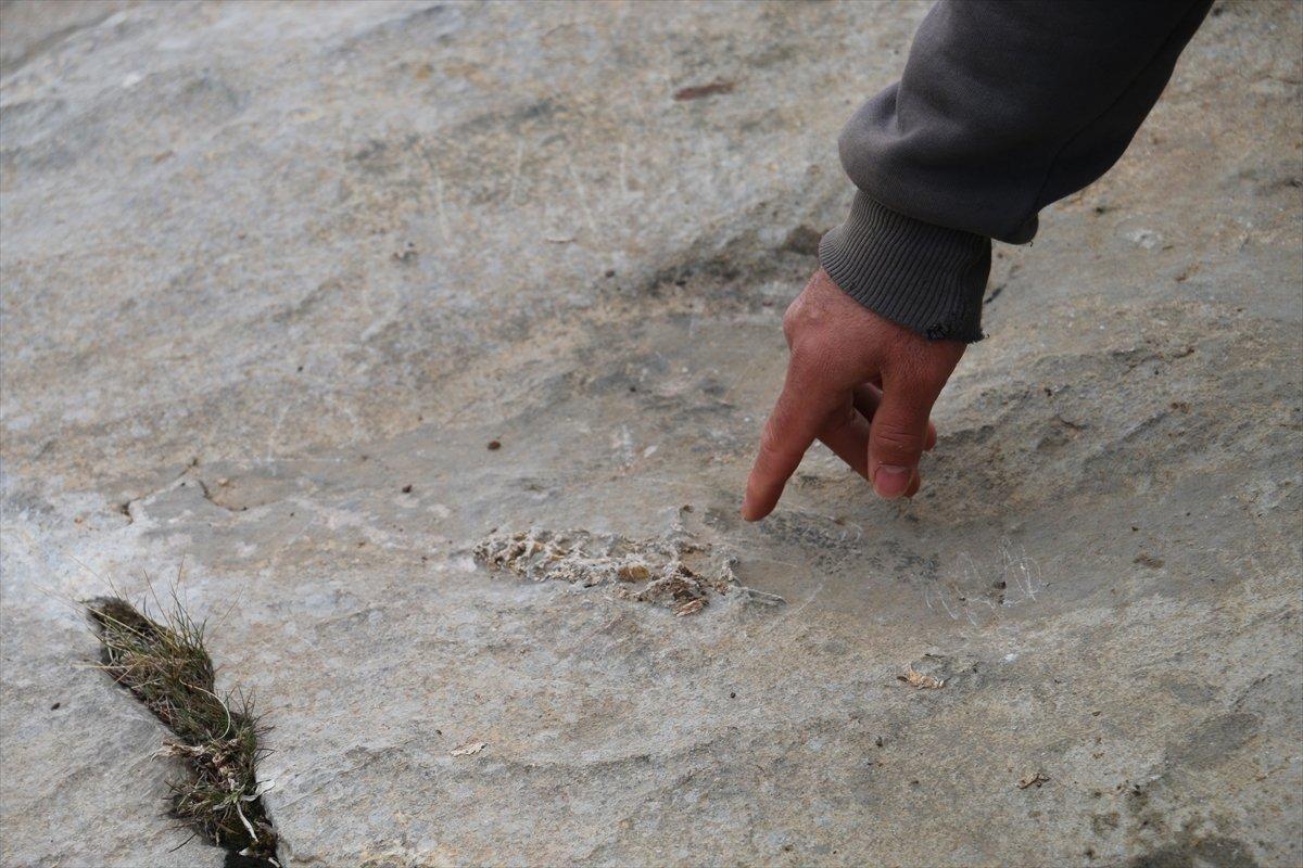 Adıyaman’da 70 milyon yıllık Gastropod bulundu