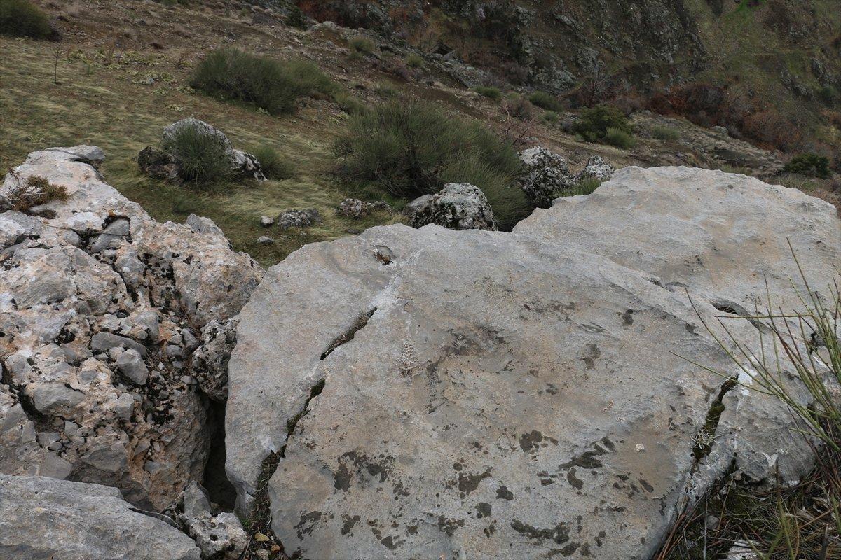 Adıyaman’da 70 milyon yıllık Gastropod bulundu