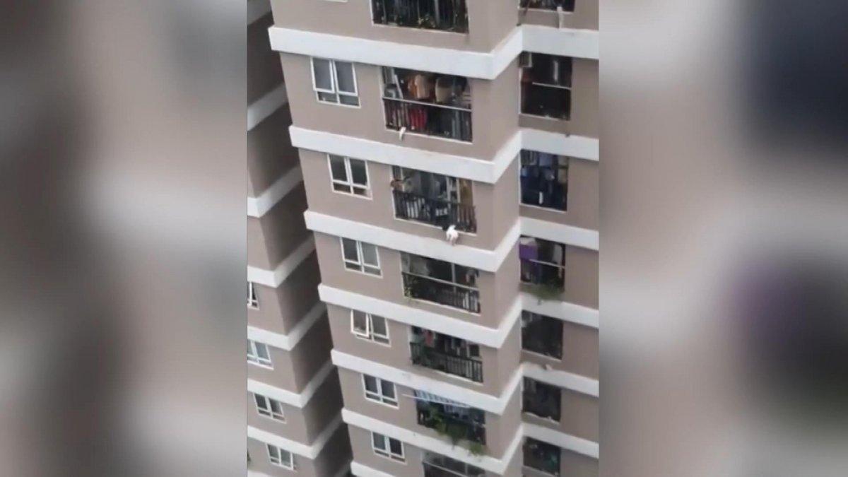 Vietnam'da 12'nci kattan düşen küçük kızı kurye kurtardı