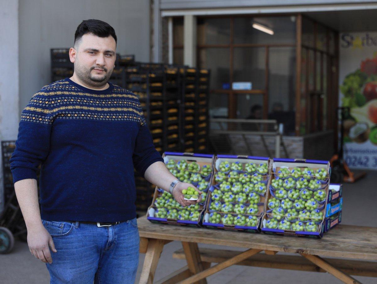 Erikler altın fiyatına