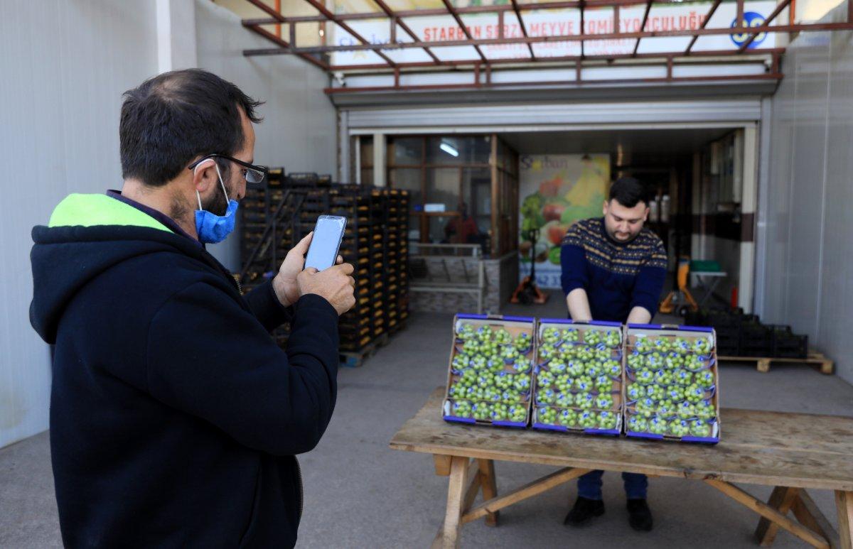 Erikler altın fiyatına