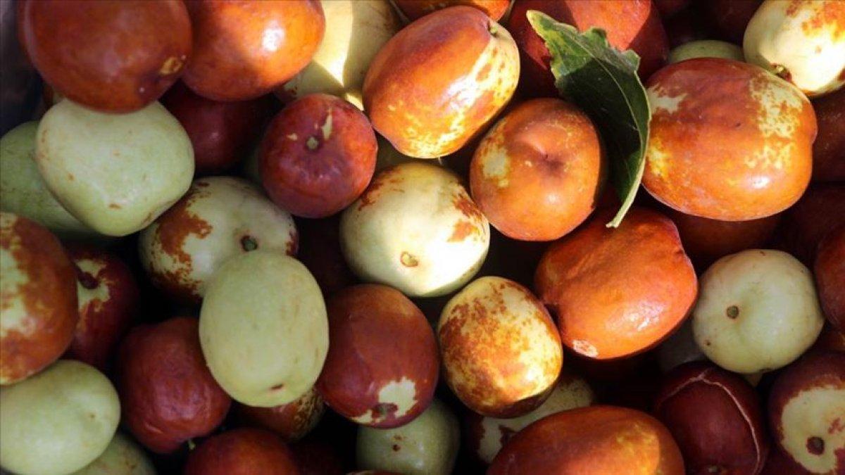 Hünnap nedir, faydaları nelerdir? Hünnap meyvesi nasıl tüketilir?