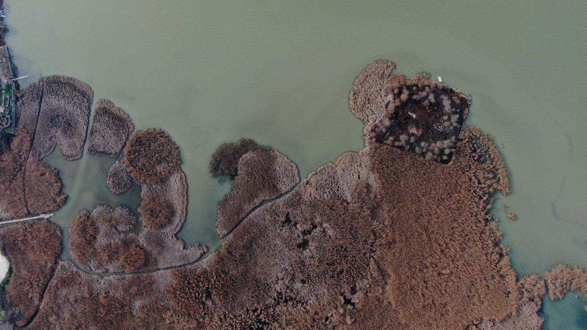 Sular yükselince Gölyazı yine ada oldu