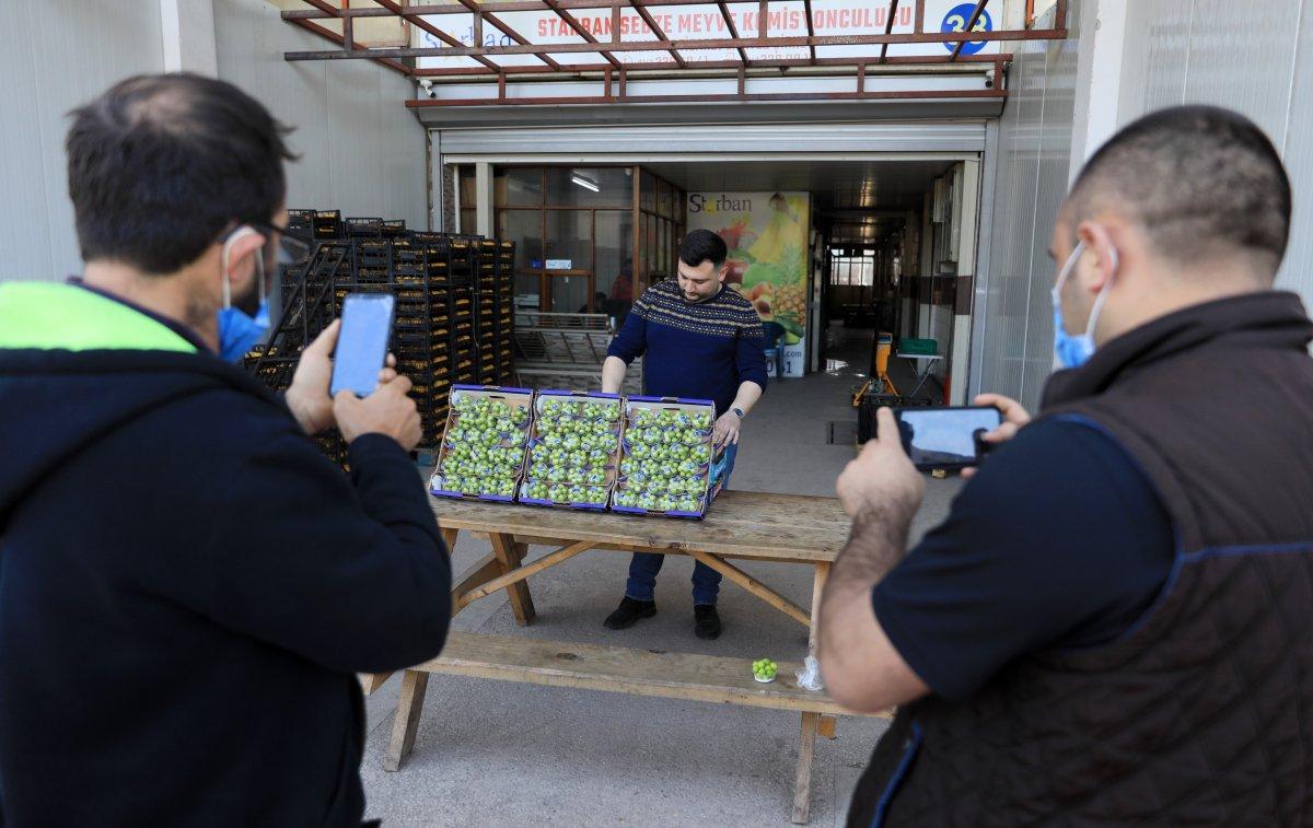 Erikler altın fiyatına