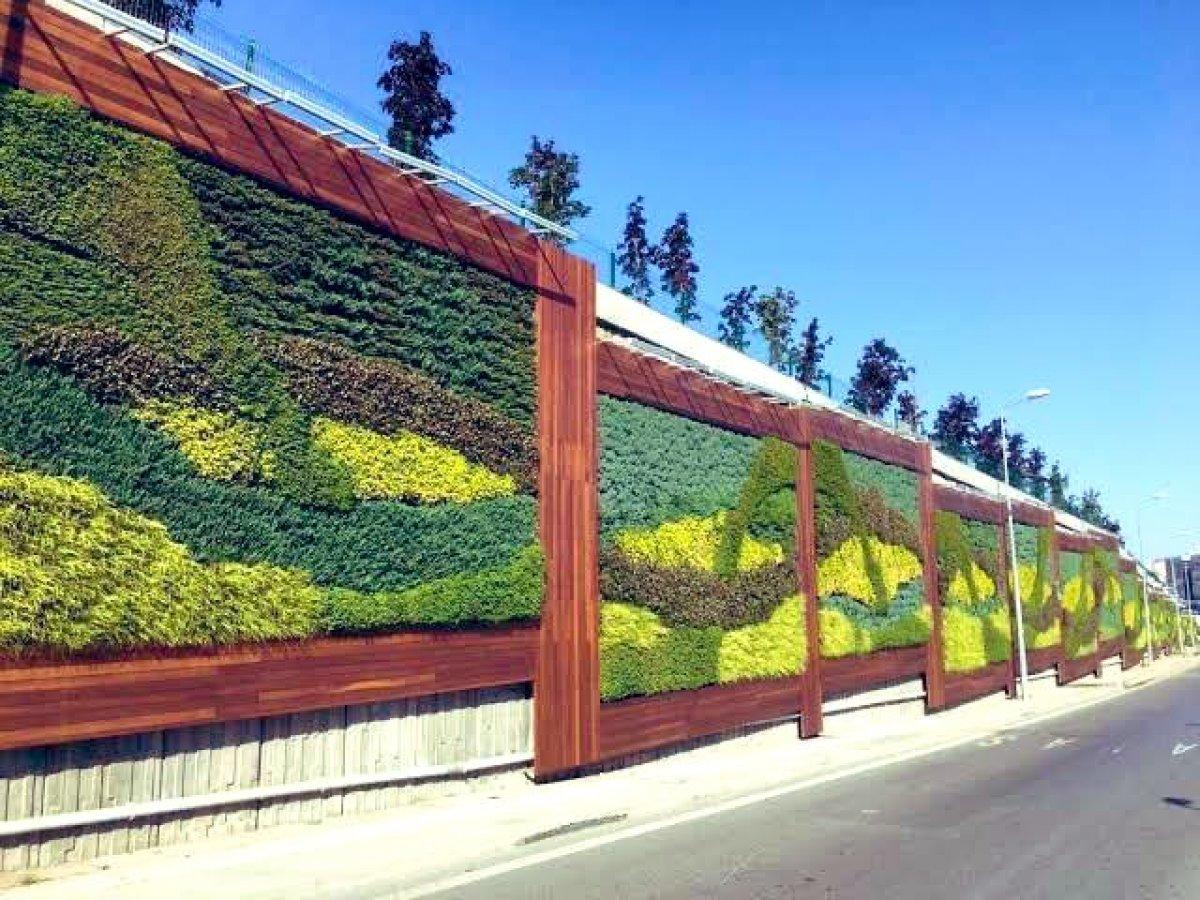 Maltepe dikey bahçe