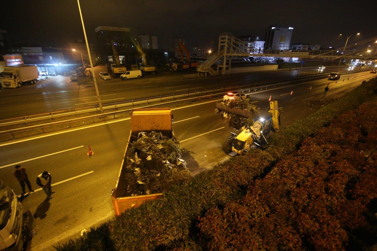 Maltepe dikey bahçe