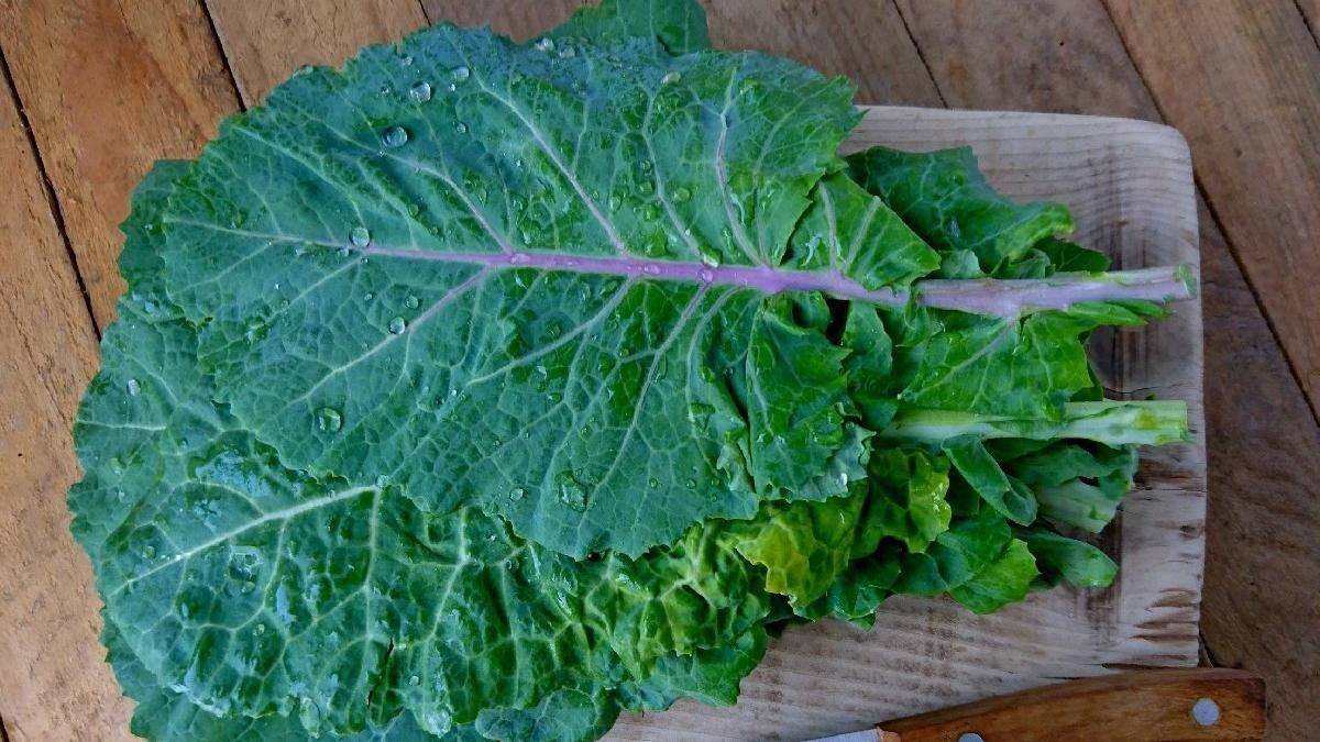 Hipertansiyonu önlemeye yardımcı 5 besin