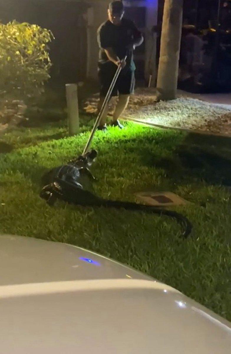 Florida’da evin garajına timsah girdi