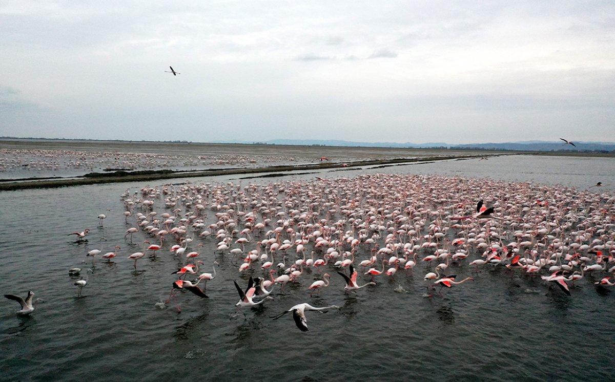 BOTAŞ'A çevre ödülü