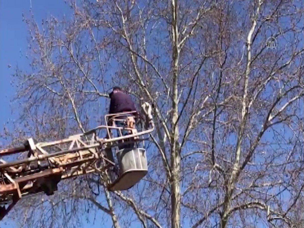 Kırklareli'nde maskeye dolanan karganın yardımına itfaiye yetişti