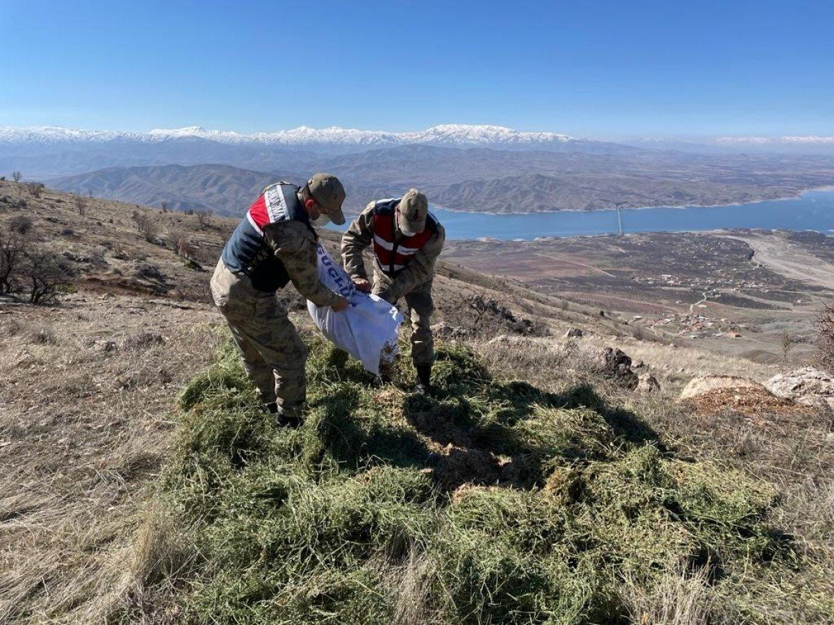 Elazığ'da jandarma yaban hayvanlarını besledi
