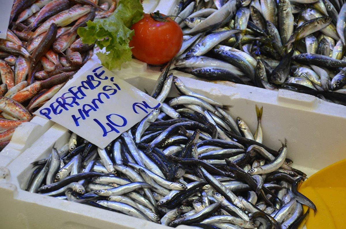 Hamsi fiyatları arttı
