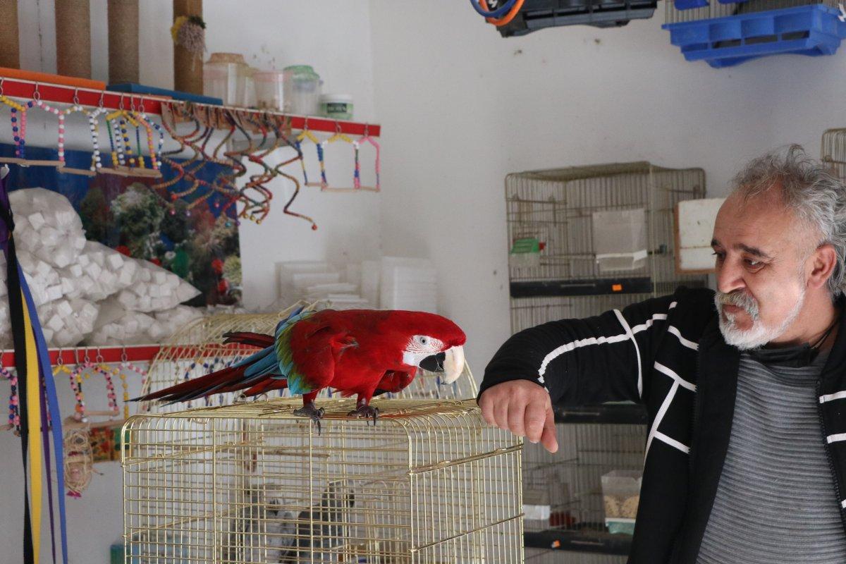 Mersin’de şarkı eşliğinde oynayan papağan