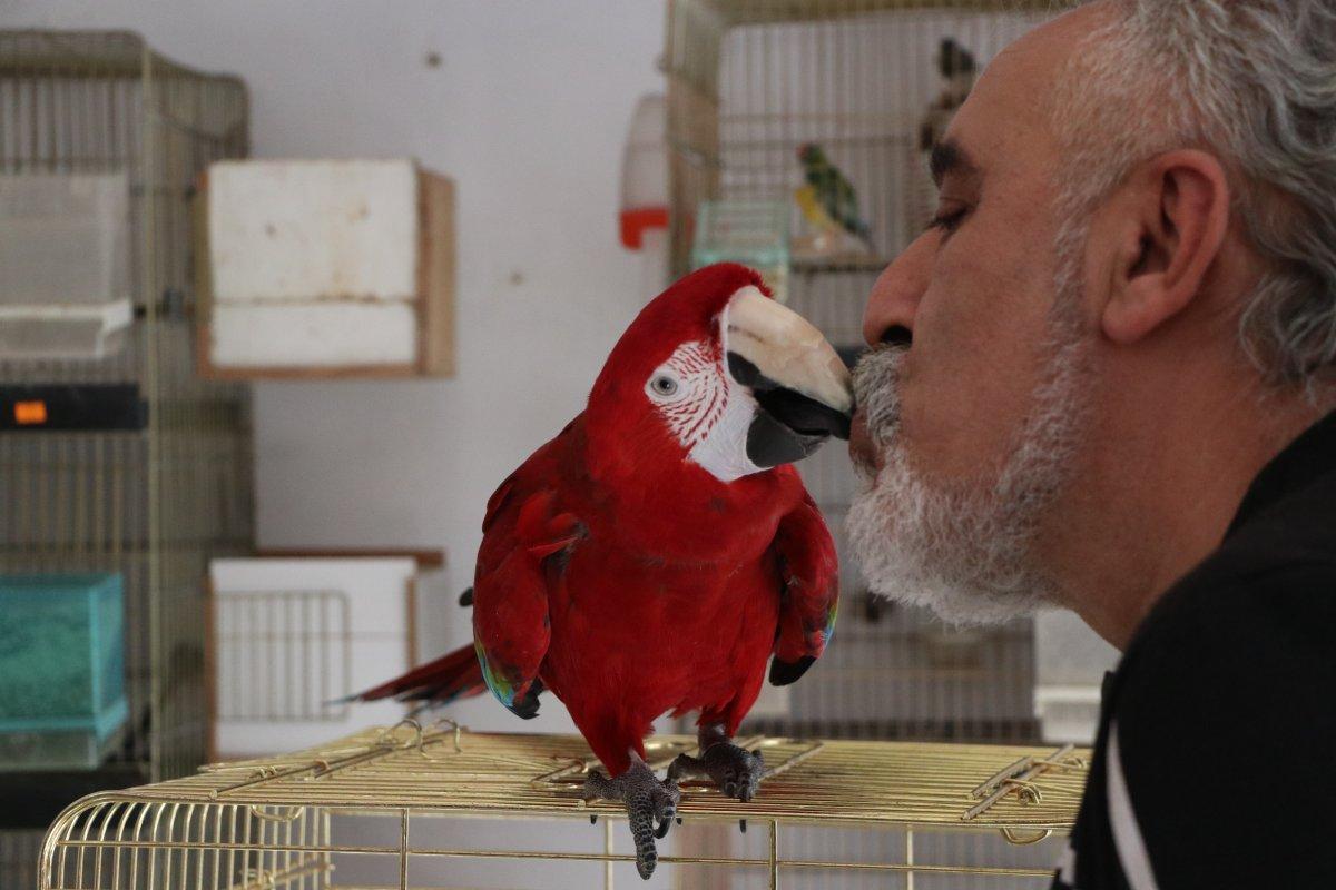 Mersin’de şarkı eşliğinde oynayan papağan