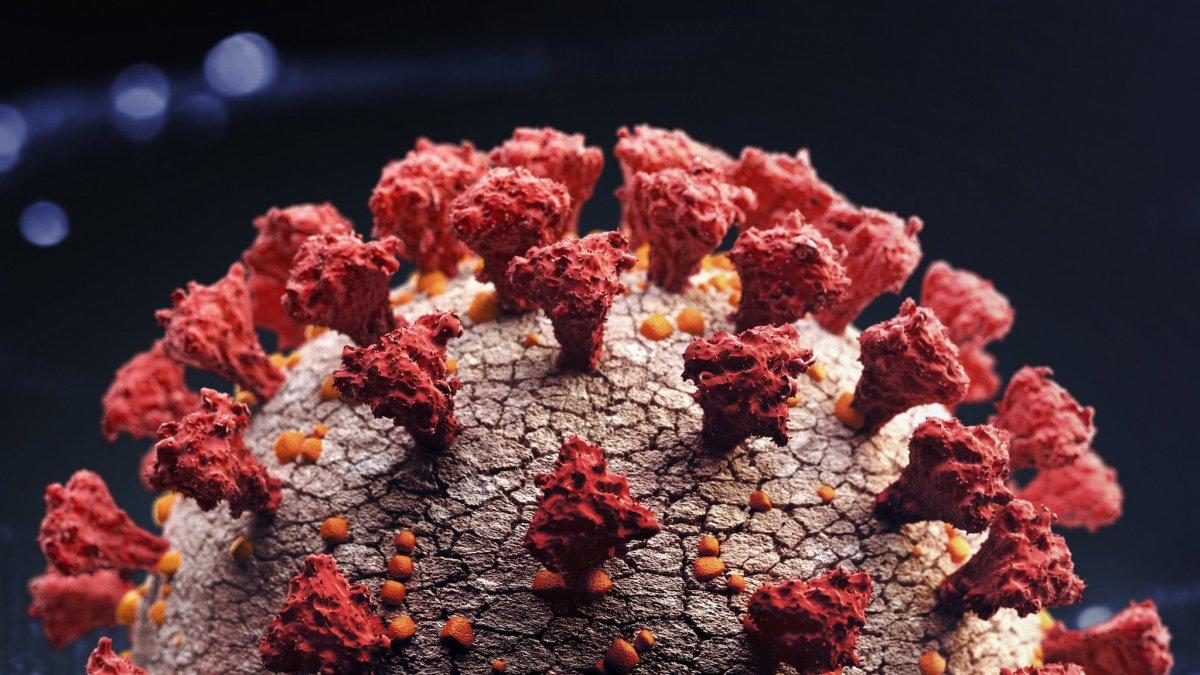 Koronavirüs mutasyonları hakkında her şey