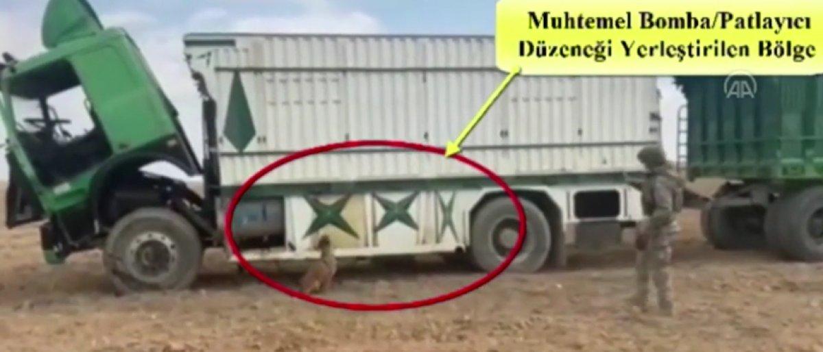 Bomba arama köpekleri Münbiç'te büyük bir saldırıyı önledi