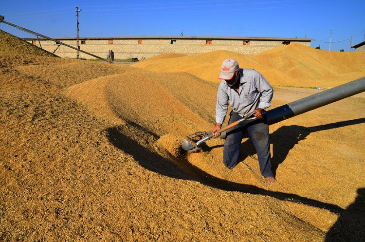 Tarımda gübre destekleri artırıldı