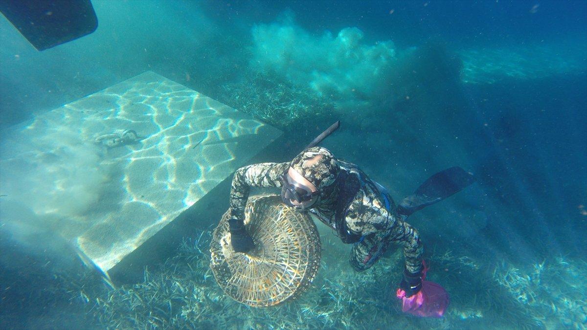 Bodrum'da dalgıçların yaptığı deniz dibi temizliğinde bir ton atık toplandı