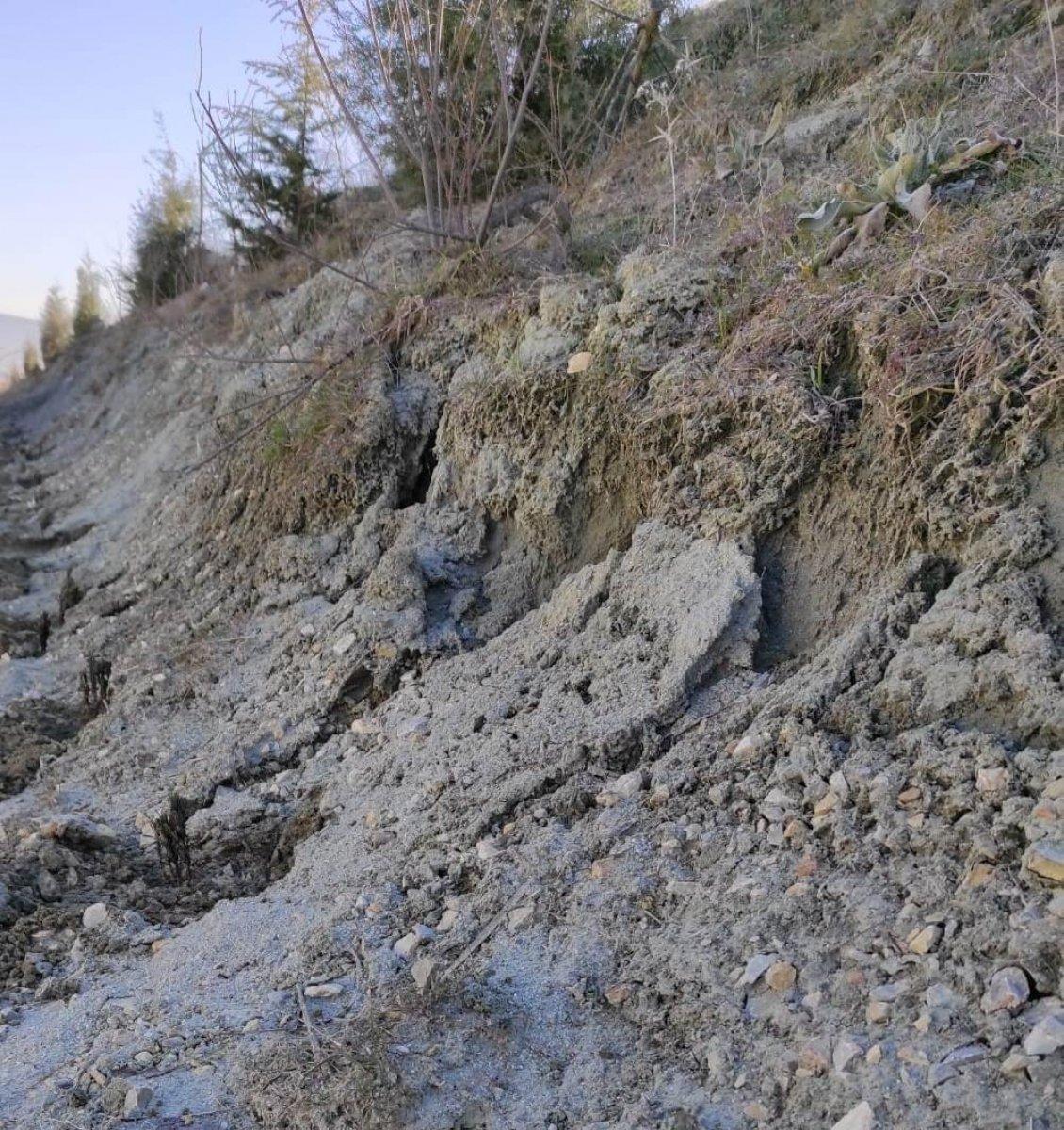 Lavanta yolu projesi