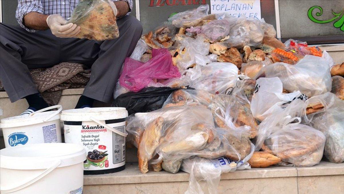 Türkiye'de her yıl 7,7 milyon ton yiyecek çöpe atılıyor