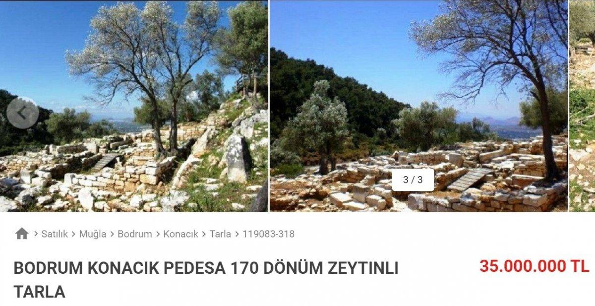 Bodrum’da 3 bin yıllık Antik Pedasa Kenti satılığa çıkarıldı