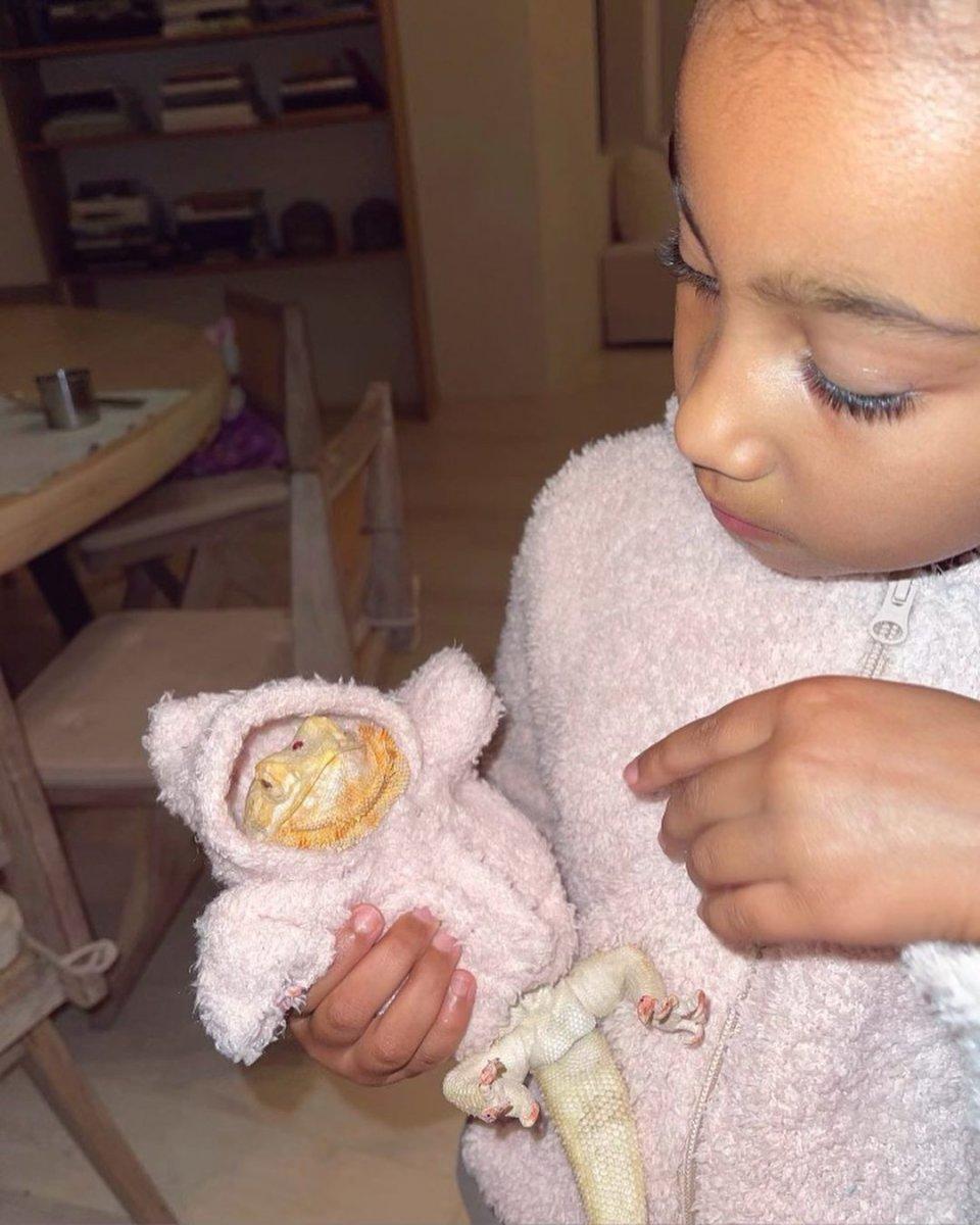 Kim Kardashian’a kertenkele tepkisi