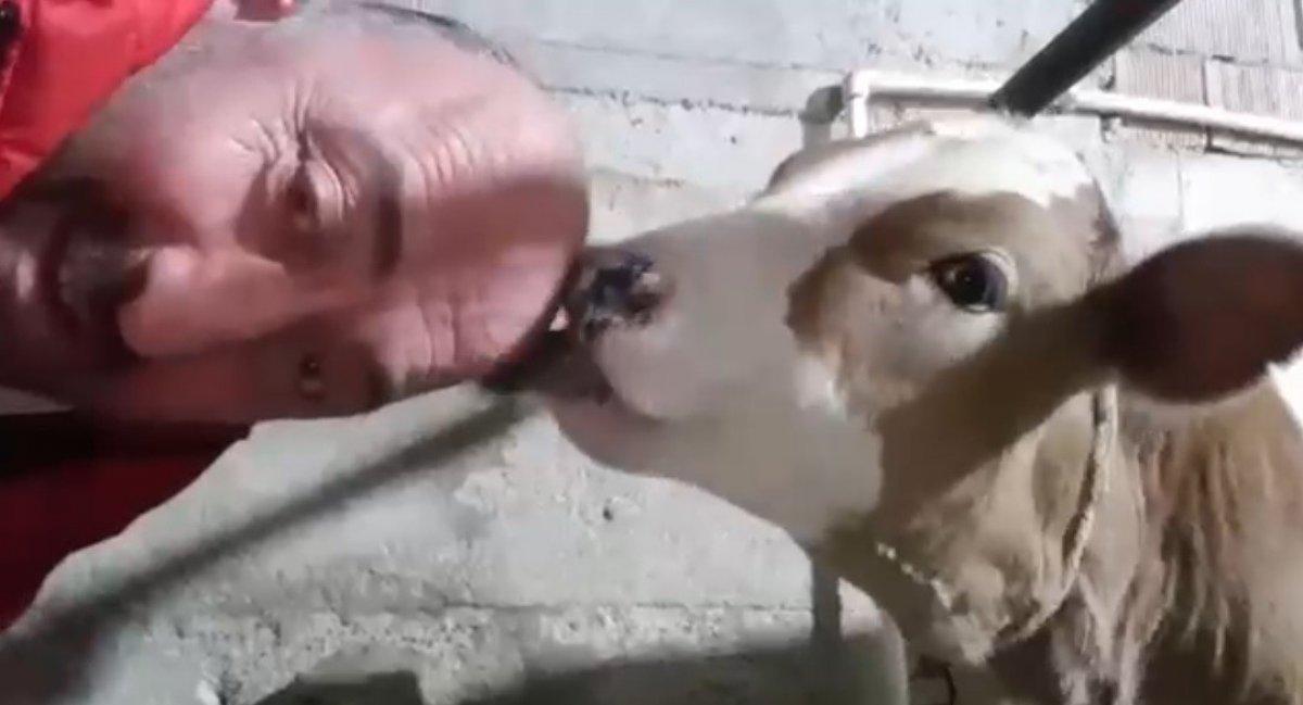 Trabzon'da saçı olmayan adamın ilginç çözümü