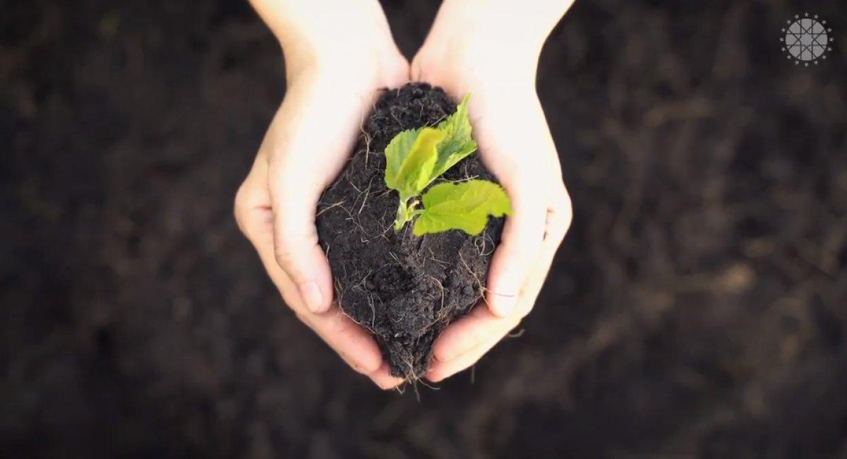 Fahrettin Altun: Ağaçlandırmada Avrupa 1'incisiyiz