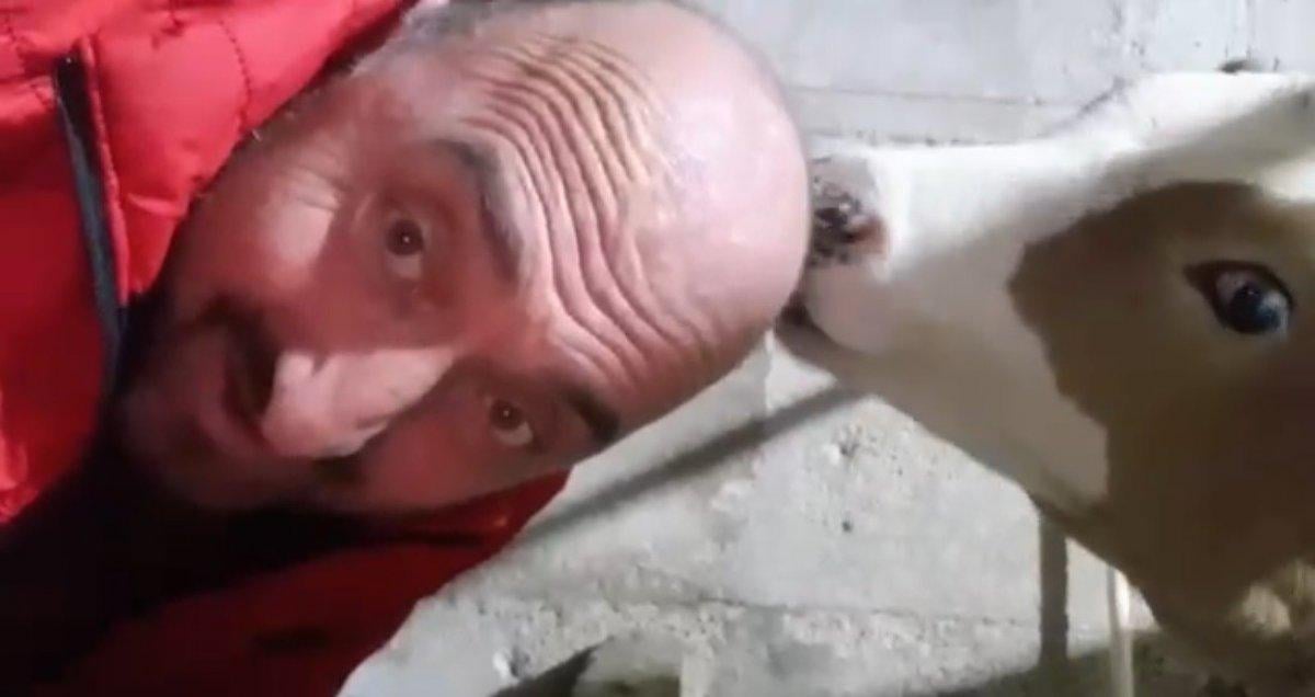 Trabzon'da saçı olmayan adamın ilginç çözümü