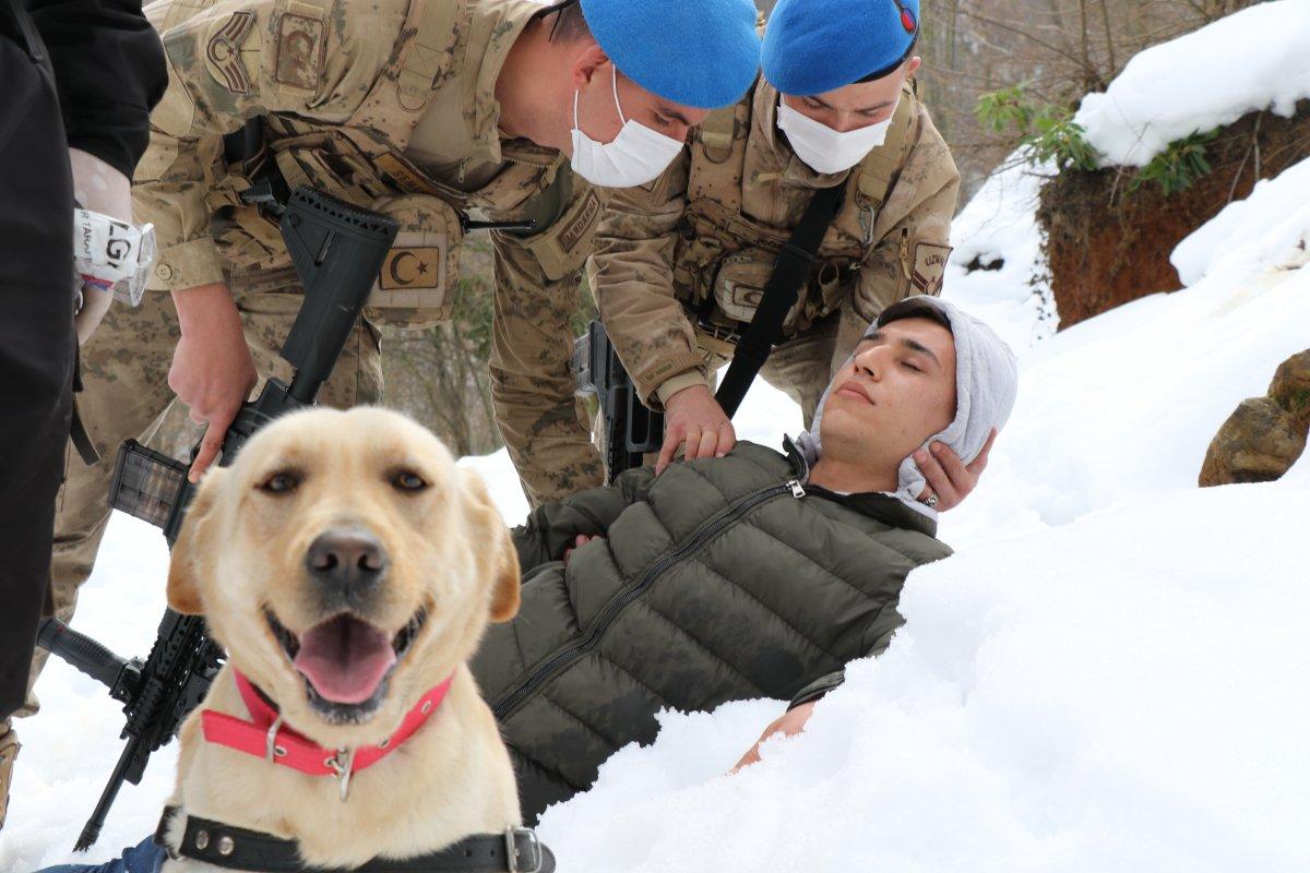 Zonguldak Jandarması'nın 'süper burun' köpekleri