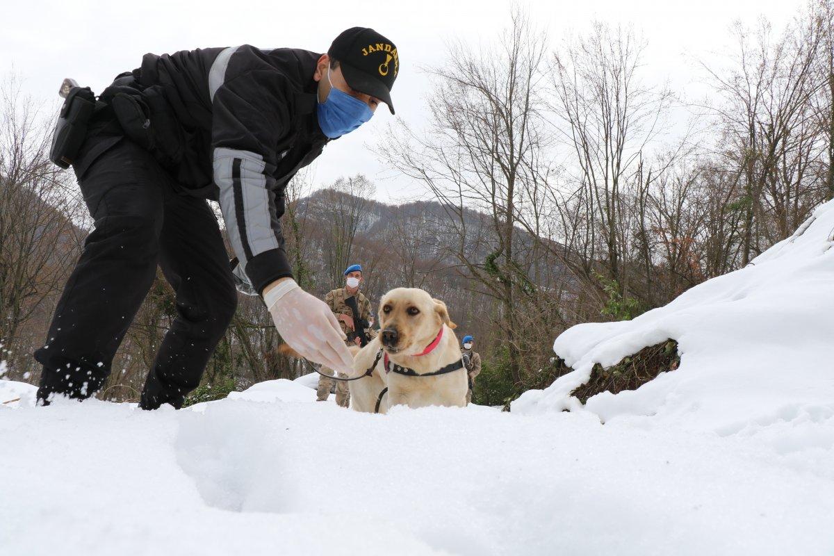 Zonguldak Jandarması'nın 'süper burun' köpekleri