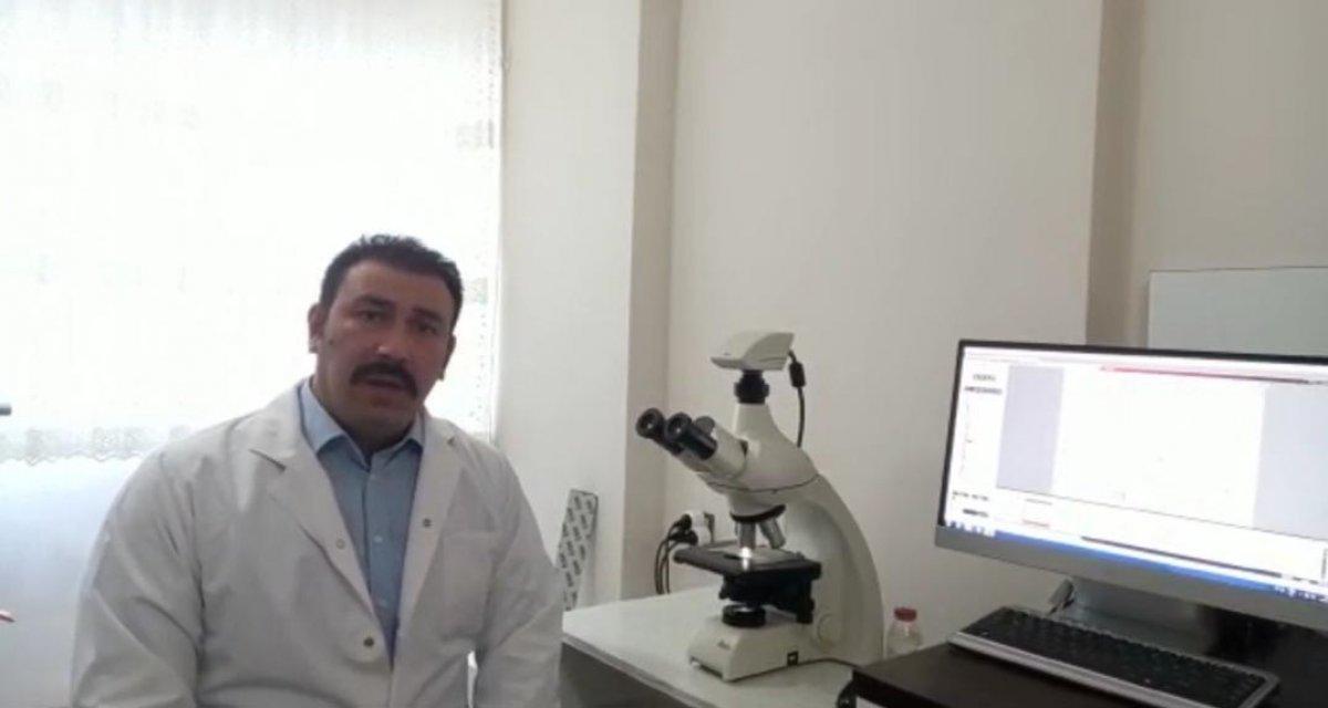 Sadece Türkiye'de yetişen mantar türü keşfedildi