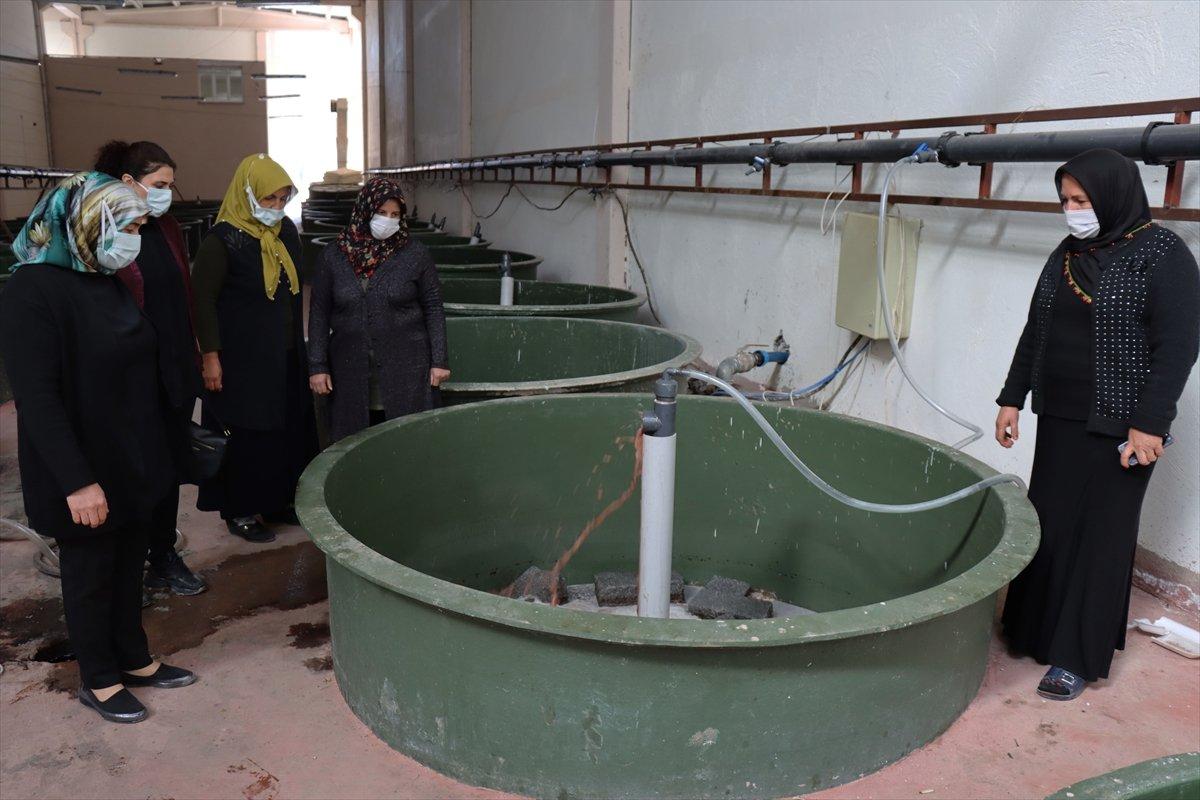 Kilisli kadınlar kooperatifte güç birliği yaptı