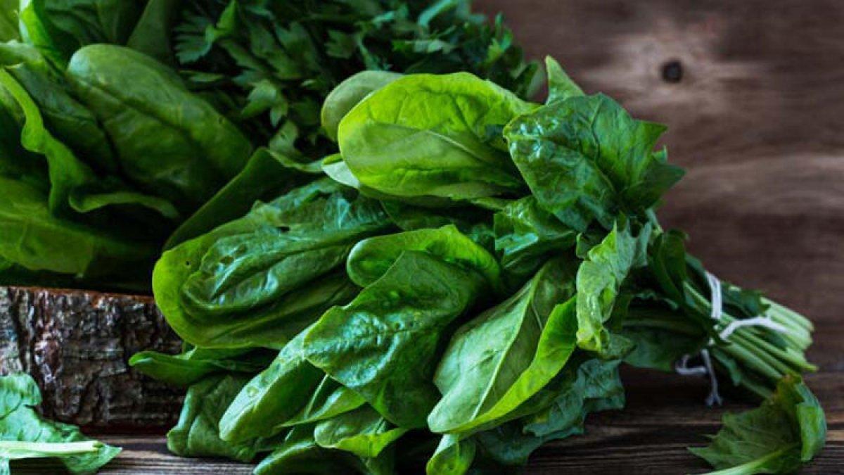 İdeal sağlık için günlük tüketilebilecek 6 basit gıda