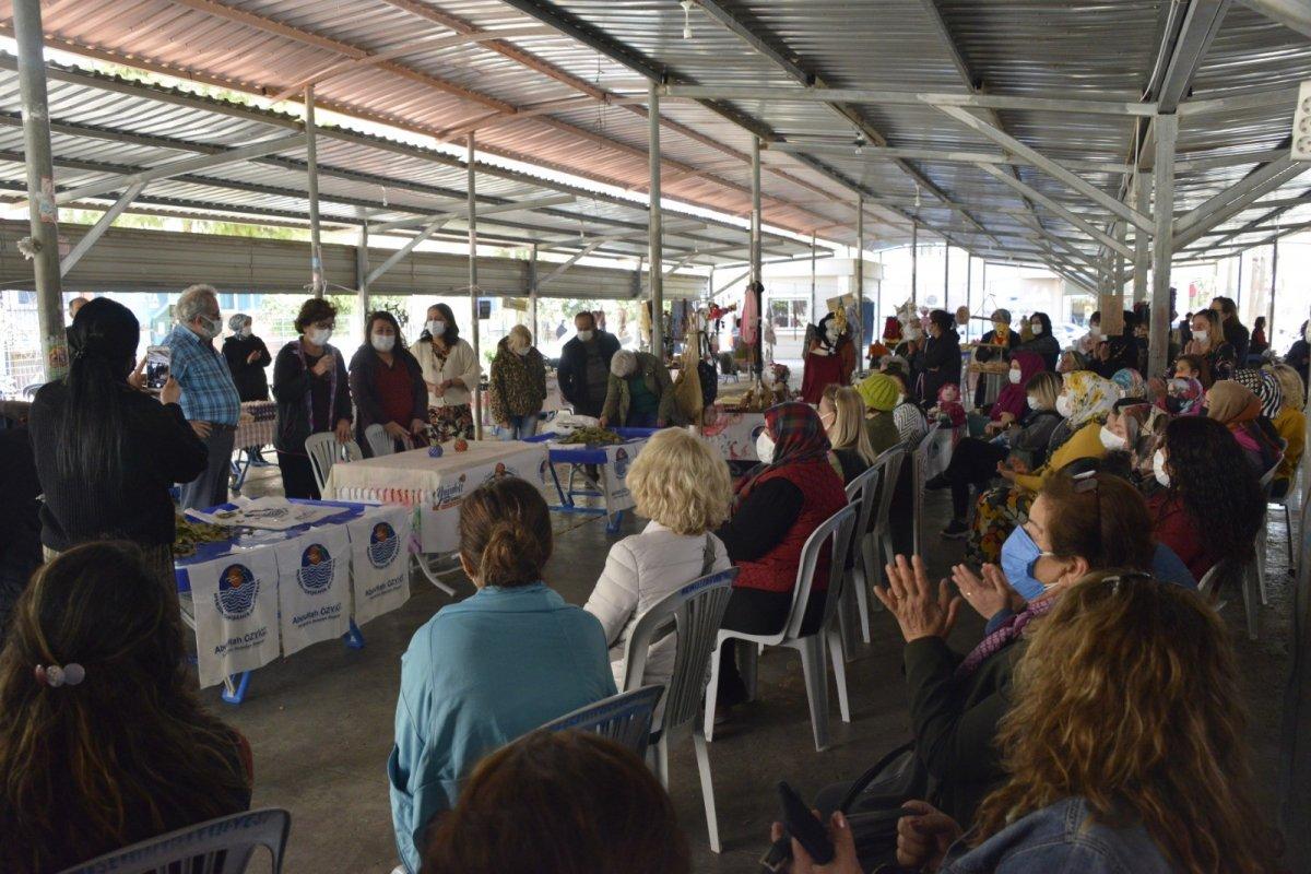 Defne yaprağı ayıklayarak para kazanacaklar