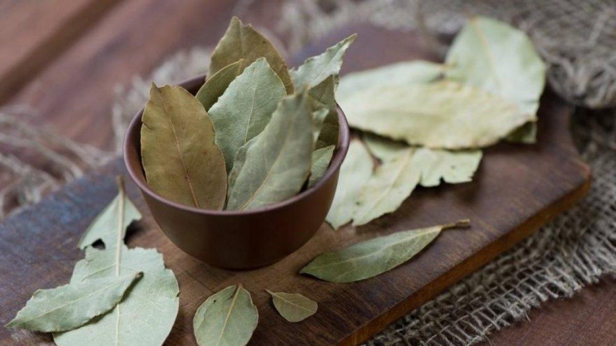 Defne yaprağı nedir, faydaları nelerdir? Defne yaprağı nasıl tüketilir?